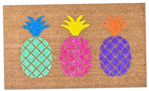 Pesoncarl Doormats, Coir Doormat, 16x24 Inch Soft Water-Absorbent Cute Door Mat, Pineapple Welcome Mat, Non-slip Cute Bath Mat for Front Door Entryway