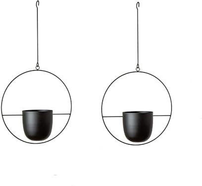 NEWFUN Suspension Plante, Pot de Fleur Suspendu, 2 Pièces Pot de Fleurs en Métal Suspendu, Pots de Fleurs Suspendus pour Plantes d'intérieur et d'extérieur