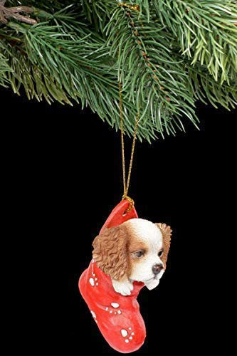 Figuren Shop GmbH Christbaumschmuck Hund - King Charles Spaniel im Strumpf | Dekoartikel zum Hängen, handbemalt