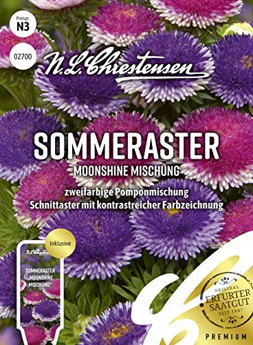 Sommeraster Moonshine Mischung Samen, Saatgut