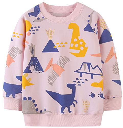 TEDD Girls Sweatshirt for Kids Cotton Top Casual Jumper Girl T Shirt Toddler Clothes Long Sleeve Pullover Winter Spring Age 1-8 Years