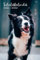 Schülerkalender 2021/2022: Kalender für Schülerinnen und Schüler / Schülerplaner / Schulplaner, 105 Seiten, A5, handliches Format, mit Hund / Border Collie