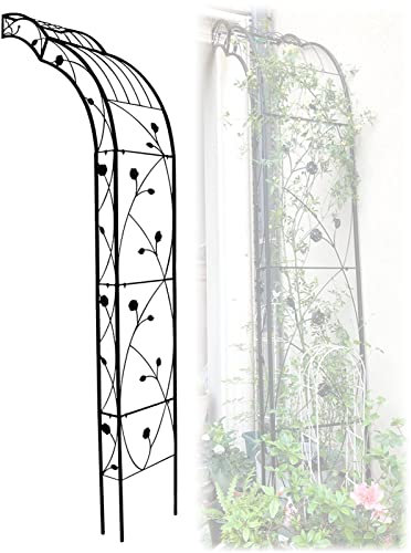 JKGHK Garden Arch Wall Mounted, Against the Wall Plant Climbing Pergola Arbor, Half Side Wrought Iron Rose Arch, Decorated House Walls/Front Door/Patio/Garden Lawn (Size : 1L)