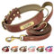 Beirui Genuine Leather Dog Collar Personalised and Leash Set,Custom Engraved Name Plate Soft Padded Leather Dog Collars with Durable Metal Hardware for Small Medium Large Dog (L, Brown Set 35-45cm)