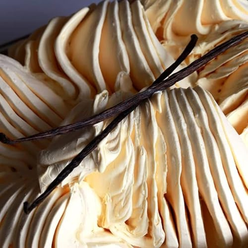 Joygelato Joypaste - Madagascan Vanilla Flavour Paste - 1.2kg