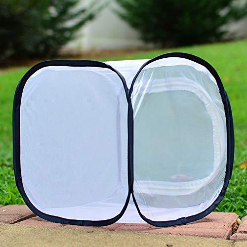 Schmetterlingshaus, Schmetterling Habitat Net, Insekt Käfig Mesh-Net Garten Gemüse Schutz Sämling Transparent Incubator 30 * 30 * 30cm