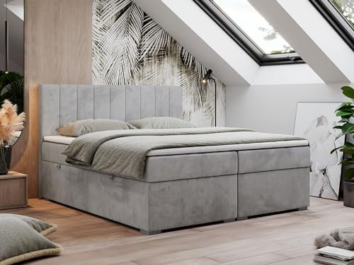 MKS MEBLE Boxspringbett 200x200, Bett 200x200 mit Matratze und Topper, Boxspringbett mit Bettkästen, Polsterbett mit Kopfteil - Lope - Hellgrau Velvet - H3