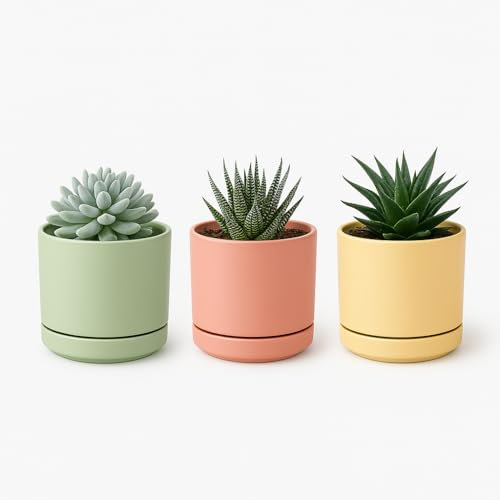 TECHZOCO Macetas para Cactus de plástico, Mini Maceteros Pequeños para platas, Macetas Decorativas, No Incluyen Las platas, Incluye Plato Integrado, 12 cm diámetro x 10.5 cm Alto, Pack 3 Unidades