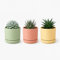 TECHZOCO Macetas para Cactus de plástico, Mini Maceteros Pequeños para platas, Macetas Decorativas, No Incluyen Las platas, Incluye Plato Integrado, 12 cm diámetro x 10.5 cm Alto, Pack 3 Unidades