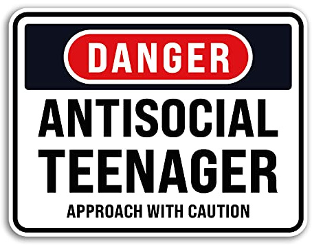 Vinyl-Aufkleber #76480 Antisocial Teenager, 2 Stück
