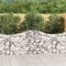 HOMEELIKE Gabionen mit Hochbogen 5 Stk. 200x50x80/100 cm Verzinktes Eisen