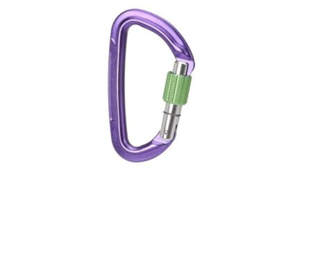 Wild Country Session Screw Gate Grün-Lila - Robuster funktioneller Schraubkarabiner, Größe One Size - Farbe Purple - Gre