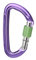 Wild Country Session Screw Gate Grün-Lila - Robuster funktioneller Schraubkarabiner, Größe One Size - Farbe Purple - Gre