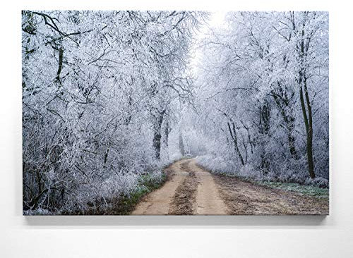 BilderKing Traumhaftes Leinwand Raureif-Bild - Frostiger Waldweg - als 120x80cm großes XXL Leinwandbild. Wandbild als Hintergrund und Deko für Wohnzimmer & Schlafzimmer. Aufgespannt auf Holzrahmen