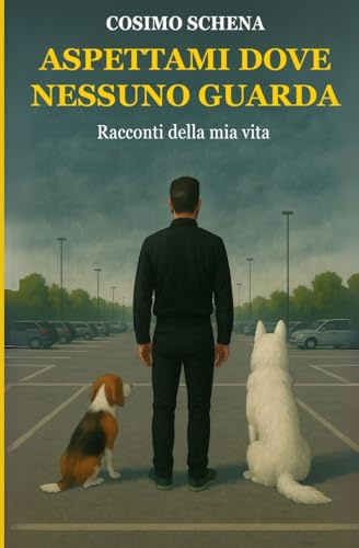 Aspettami dove nessuno guarda. Raccontami della mia vita