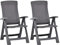 vidaXL 2X Gartenstuhl Verstellbar Stuhl Klappstuhl Klappsessel Campingstuhl Hochlehner Stühle Gartenstühle Gartenmöbel Kunststoff Moccafarben