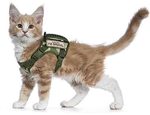 Taktisches Katzengeschirr für Spaziergänge, ausbruchsicher, weiches Netzgewebe, verstellbar, Haustierweste, Geschirr für große Katzen und kleine Hunde (L, A-Grün)