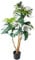 AMARE Monstera deliciosa Variegata 110 cm im schwarzen Kunststofftopf 15,5x13cm