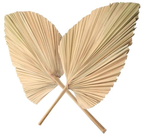2 Stück getrocknete Palmenblätter Blumen Palmenblätter trockene Blätter Palmblätter Party Dekorationen Wandkunst Blatt Tropische Palmblätter Dekoration Palmblatt ländliche Frau