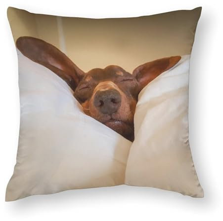 40 x 40 cm große Kissenbezüge, lustiger Dackel, kuscheln Sie sich auf dem Bett, Stuhlkissen, Sofakissen, Sitzkissenbezüge, Bettkissenbezüge