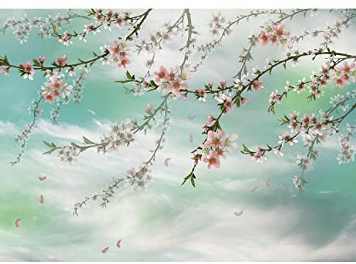 Runa Art Papier peint intissé Sakura fleurs 352 x 250 cm Toison Mur XXL Tableaux Muraux Tapisserie Photo Décoration Murale Salon Chambre vert 9437011b