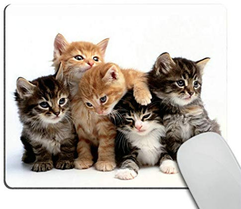 Wasach Tapis de souris rectangulaire en caoutchouc antidérapant pour ordinateur, chatons, famille de chats, tapis de souris de jeu