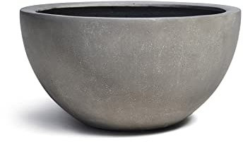 ESCHBACH® Pflanzkübel Low Egg Pot 50 Beton Grau Schale * 45 x 45 x 22 cm * 10 Jahre Garantie