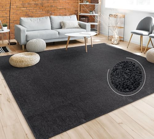Paco Home Tapis Salon Uni Sobre Et Moderne Poils Ras, Diff. Tailles/Coloris, Dimension:160 cm carré, Couleur:Noir