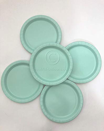 Beautiful Balloons 40 x Mint Paper Party Plates