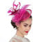 Feather Fascinator Hat with Hair Clip Flower Mesh Net Veil Wedding Race Hairpin Bowler Hat Elegant Royal Ascot Floral Derby Hat for Women Ladies Wedding Tea Party Church Cocktail Hair Accessories