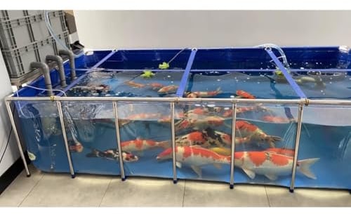 Faltbarer Fischteich mit klarem Sichtfeld, Aquarium für Außen/Innen, oberirdischer Goldfischteich mit Rahmen und Ablassventil