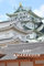 Living and working in Japan: Brief History and Behavior of Japanese people