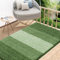 Homaxy Door Mats Indoor, Machine Washable Soft Doormats, Dirt Trapper Super Absorbent Entrance Rug, Non-slip Floor Mats For Inside, Front Back Door, Pets and Dogs (90 X 150 cm, Green)