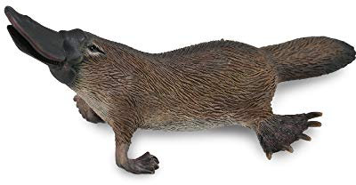 Collecta - Collecta-Ornitorrinco-M-88795 (90188795), Mehrfarbig