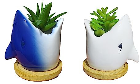 SJBAG Juego de 2 macetas de cerámica con forma de tiburón con soporte de bambú para decoración del hogar, jardín, oficina, escritorio, color blanco y azul
