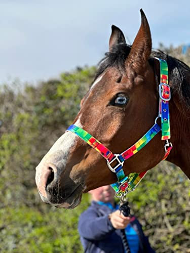 Regenbogenfarbenes Halfter mit passendem Führungsseil, Chrom-Passform, Größe Full bis Mini Shetland (Pony)
