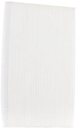 RIDEX Innenraumfilter 424I0048 Qashqai / Qashqai +2 I (J10, NJ10) 265mm 191mm