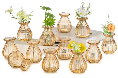 Hewory Kleine Vasen für Tischdeko Hochzeit: 12er Vasen Set Kleine Glasvasen Set für Hochzeitsdeko Tisch - Cute Deko Vase Champagne Mini Blumenvase Glas für Kawaii Deko Wohnzimmer Home