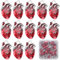SUNNYCLUE 1 Box 30 Stück Herz Charms Bulk Legierung Anatomische Charms Rotes Emaille Metall Antik Silber Gothic 3D Orgel Herzen Hohle Charme Für Schmuckherstellung Frauen DIY Halsketten Ohrringe Armbä