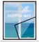 Fly Screen for Windows,Custom Size Insect Netting,Cat Proof Window Net with Zip,Durable Fibergalss Mesh,Keep Bugs/Flys/Mosquitoes/Bee/Spider Out