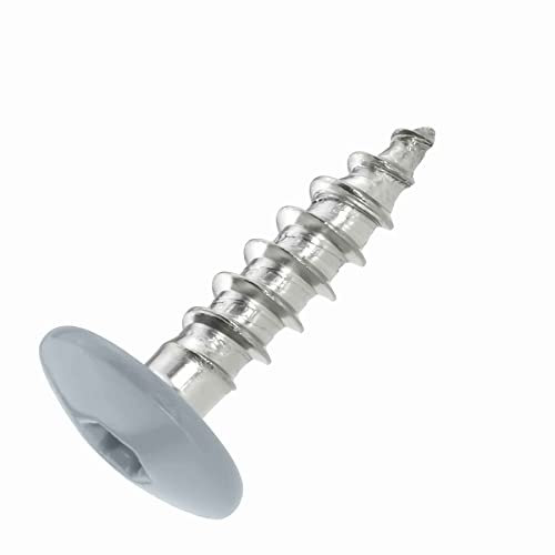 SCREW REBEL Fassadenschrauben 4,8x20 TX20 - RAL 7001 Silbergrau - 100 Stück Edelstahl A2 Trespo