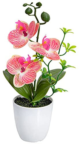 Phalenopsis Blumentopf inklusive künstlicher Orchidee, Zimmerpflanze, lebende Topf-Zwillings-Orchidee, Phalaenopsis, perfekt für Zuhause, Büro, Weihnachten, Geburtstage, Jubiläen (B)