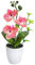 Phalenopsis Blumentopf inklusive künstlicher Orchidee, Zimmerpflanze, lebende Topf-Zwillings-Orchidee, Phalaenopsis, perfekt für Zuhause, Büro, Weihnachten, Geburtstage, Jubiläen (B)