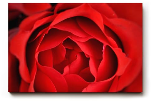 Sinus Art Wandbild 120x80cm Detailreiche Nahaufnahme einer geöffneten roten Rose mit sanft geschwungenen Blütenblättern