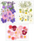 Dreamtop 85 Stück Natürliche Getrocknete Blumen Gepresste Blumen Gemischte Getrocknete Blätter Gemischt Mehrere Getrocknete Blüten für Kunst DIY Harz Scrapbooking Handwerk Karten Machen