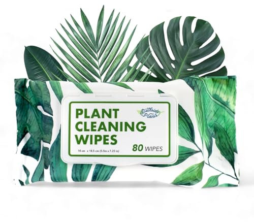Southside Plants Lingettes nettoyantes douces à base de plantes pour des feuilles brillantes et une meilleure photosynthèse – Non parfumées, extra épaisses pour plantes d'intérieur et d'extérieur – 80