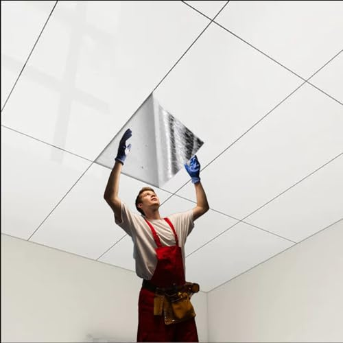 Dalle de plafond Panneaux Adhésifs Imperméables Plafond Cuisine, Revêtement Intérieur Sous-sol Et Carreaux Muraux Commerciaux Et Moulures, Couverts 0,32 ㎡(A styel,30 pcs cover 9.6 m²)