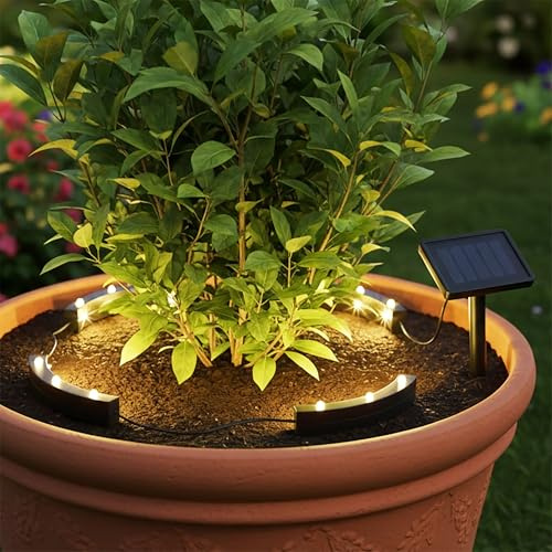 Spetebo Ensemble de 4 éclairages LED solaires pour fleurs en pot - Guirlande décorative pour plantes en pot et parterre de fleurs - Éclairage de jardin pour plantes en pot et parterre de fleurs