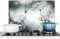 KitchenYeah© Fond de Hotte 70x50 cm Aluminium Crédence Cuisine Décoration Murale Crédence Plaque de Cuisson Anti Projection Fleurs - Nature - Noir et Blanc - Photographie