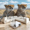 3D Papier Peint Animal GuéPard Savane Papier peint panoramique Brun- Pour Salon Chambre Chambre D'Enfant Décoration Murale Poster 400x280cm